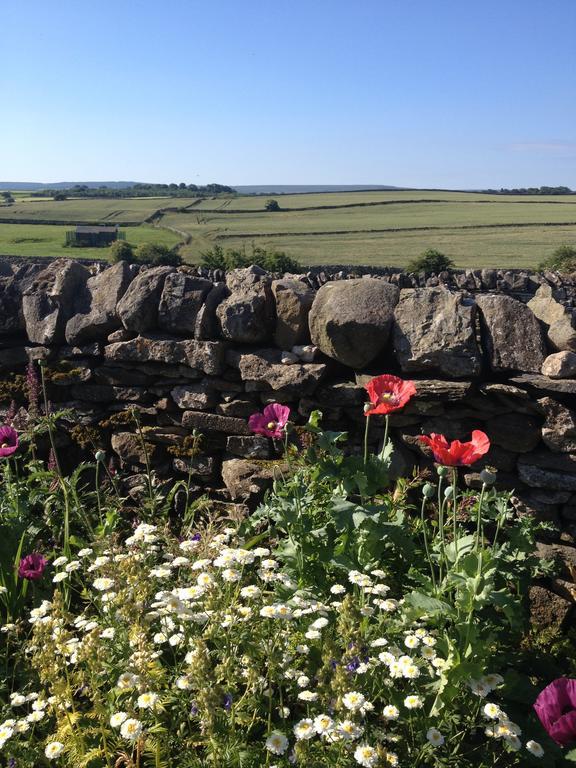 Curlew Barn Bed & Breakfast Leyburn Exterior photo